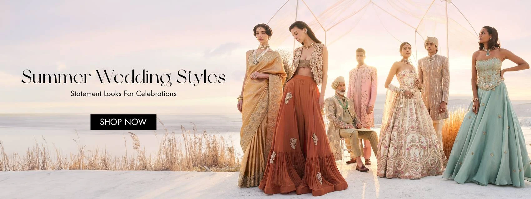 Timeless Elegance, Modern Indian Grace